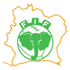Elfenbeinküste Logo